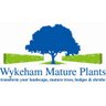 MaturePlants's profile picture. Big trees, big shrubs, instant hedging. Wholesale or retail. 150 acre nursery in a historic setting. Professional planting services. Site visits available.