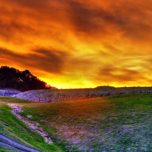 rebby659's profile picture. Mother Nature is a bitch.