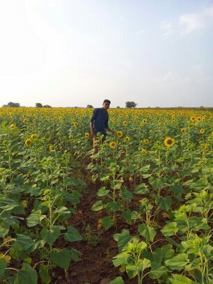 simon4ru's profile picture. 