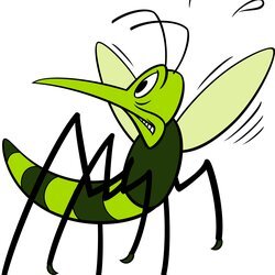 We will eliminate mosquitoes, ticks and fleas from your outdoor living area safely and effectively!