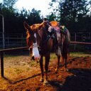 dylan hubbard - @dylanhubbard03 - Twitter