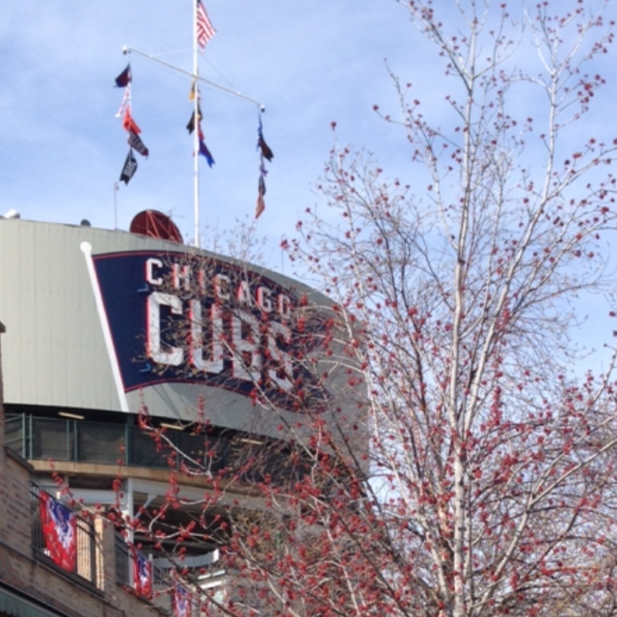 jamiepalma2's profile picture. 