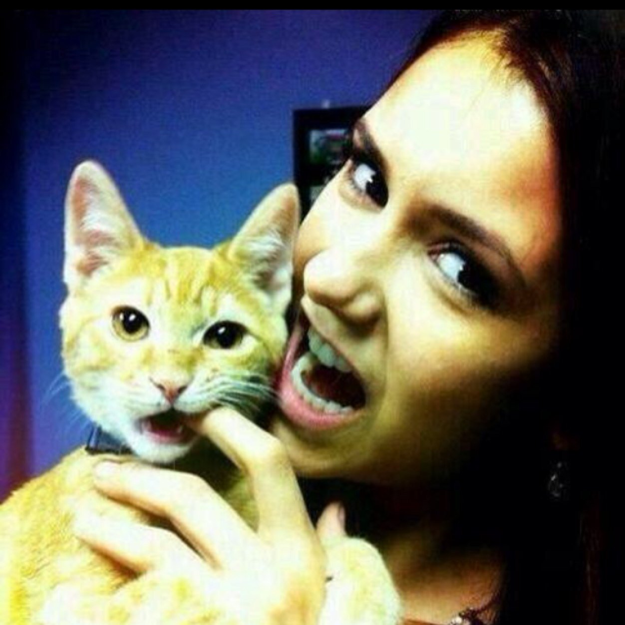 Free follow from @_merled_ -- go follow me please :))
Hope you like my account If i like you i'll follow back