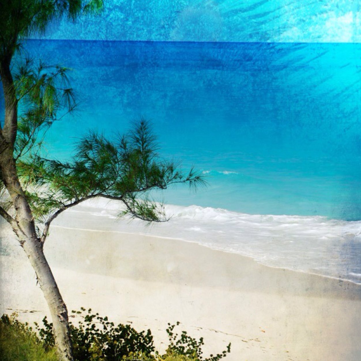 soccermomclm's profile picture. 