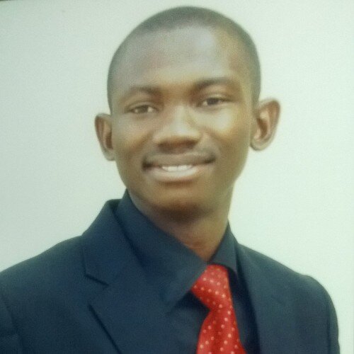 An engineer / Quality Assurance Analyst