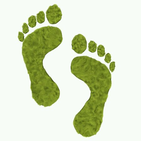 barefootlawnsdl's profile picture. Give us a call or tweet us @barefootlawnsdl to get your special piece of earth Barefoot perfect.