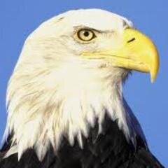 ACADÉMICO MEMORÍSTICO DESPARPAJADO #FF : ANTI @petrogustavo : ANTI comunista. Sobreviviente FUERTE de las penurias del mundo contemporáneo de hoy. EX URIBISTA.
