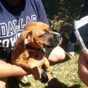 Sammy Avery - @sammya898 - Twitter