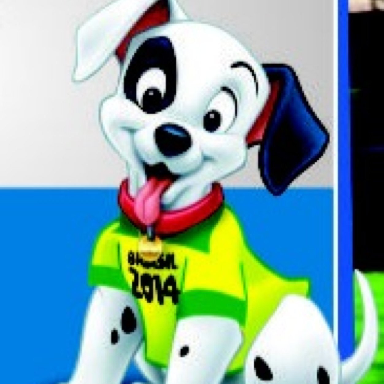 Petshop / Banho & tosa com táxidog - (19)3628-6162... Rua: Do linho, 1724, Cidade Nova... O petshop mais seguido no instagram do Brasil!