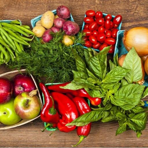 Ingénieur en Génie Alimentaire de l'Université Laval