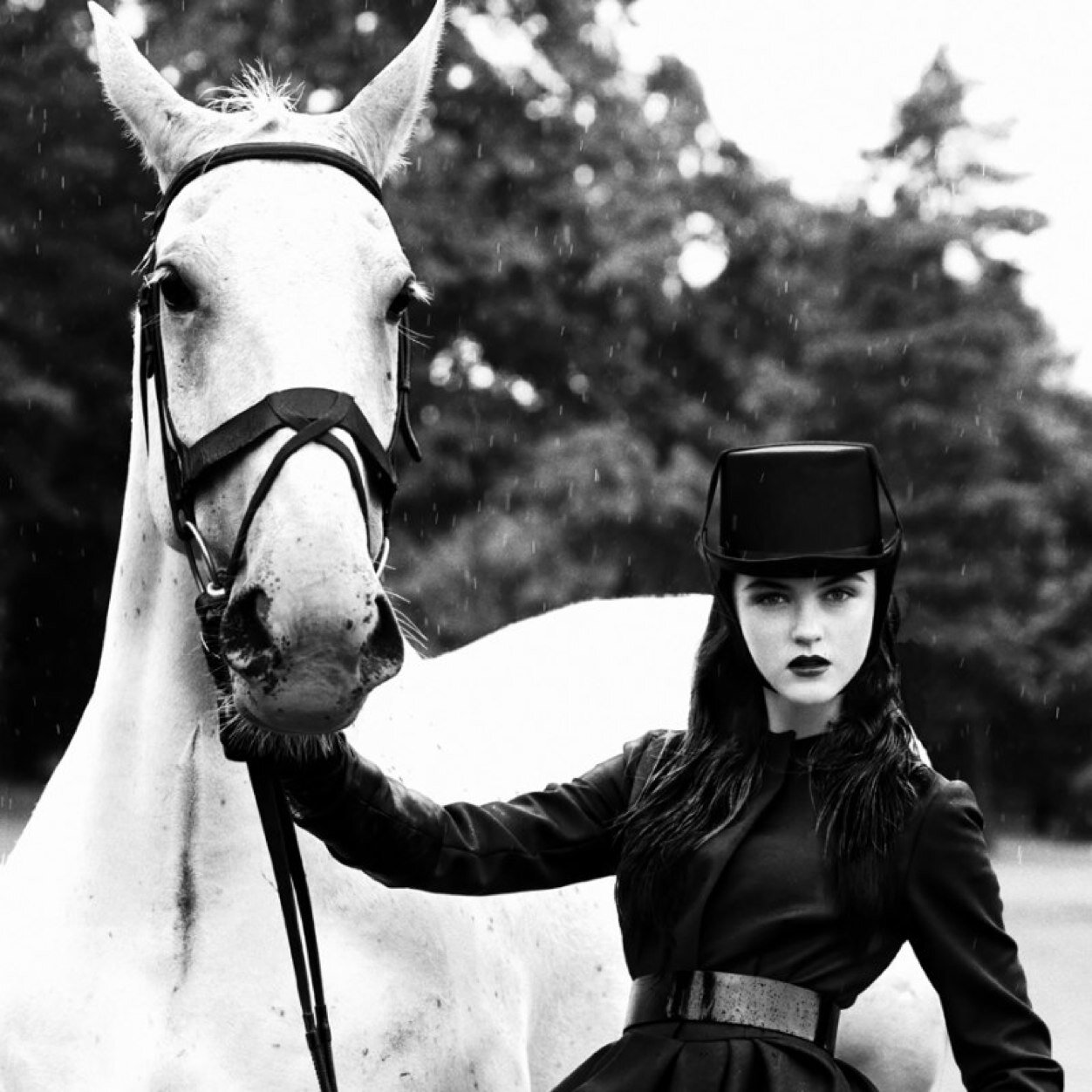 Horse?