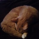 sandy benton - @msbentonTHE - Twitter