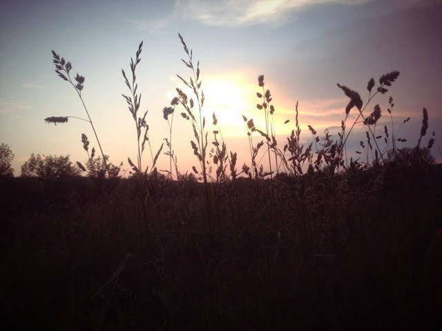 4HandFairs's profile picture. 4-H, fairs, jerseys, farm fresh food & Family