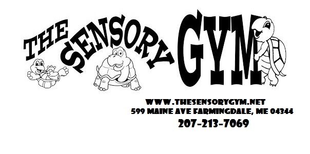 The Sensory Gym provides a vast array of equipment and professional knowledge to aid children in growth and development through various means of play.