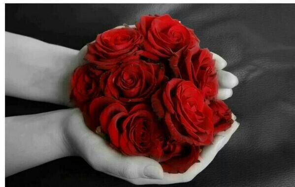 dieng669's profile picture.