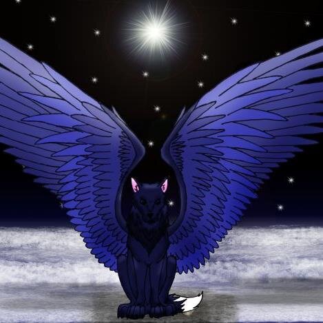 pete74au's profile picture. Motorcyclist, nudist, aetheist and generally outspoken. All views are my own