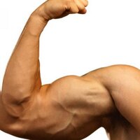 Fitness Masters (@efitmasters) 's Twitter Profile