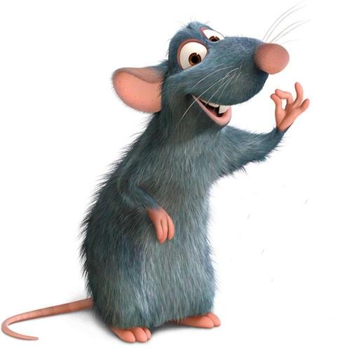 boloalmeida54's profile picture. 