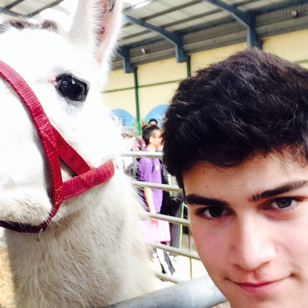 Jonah Surkes Profile