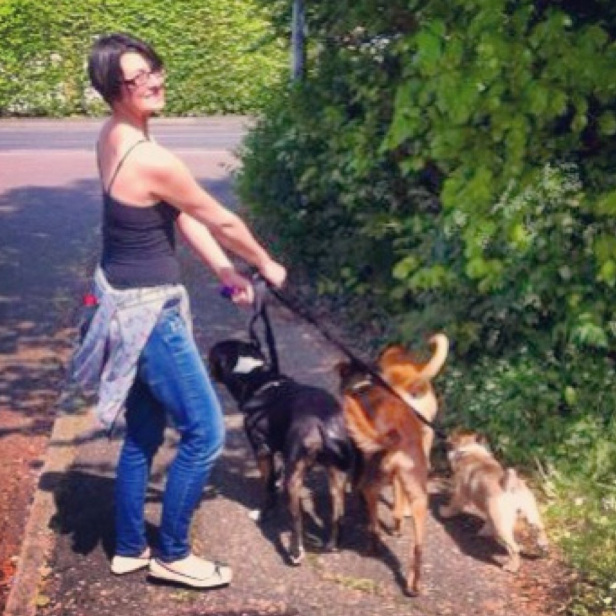 sambolinaaa's profile picture. Former Evil Genius