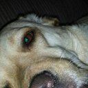 Christian Roach - @Dar0ach28 - Twitter