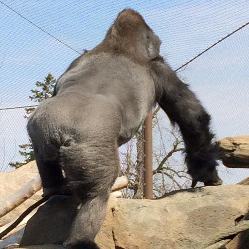 dwconlon's profile picture. Have the farmer gene