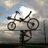 dctrail's profile image