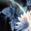 Caprice Flowers - @capricefl1838 - Twitter