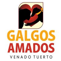 Galgos Amados VT (@galgosamadosvt) 's Twitter Profile