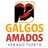 GalgosAmadosVT's profile image