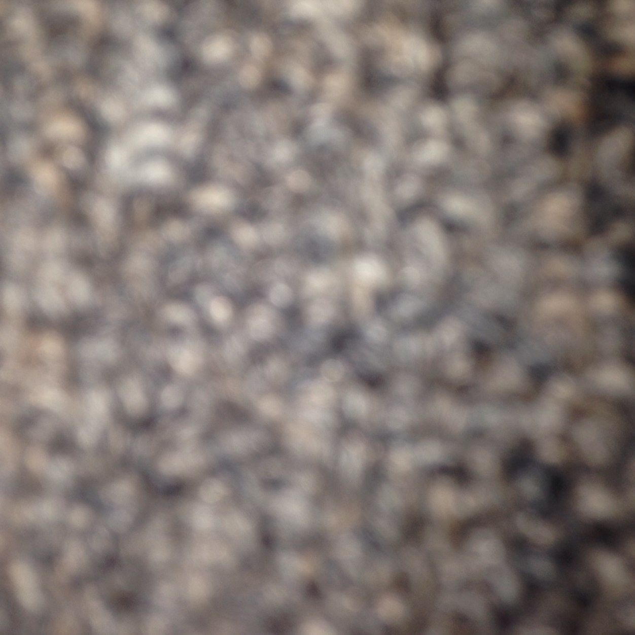 THEeVigilsAPP's profile picture. 