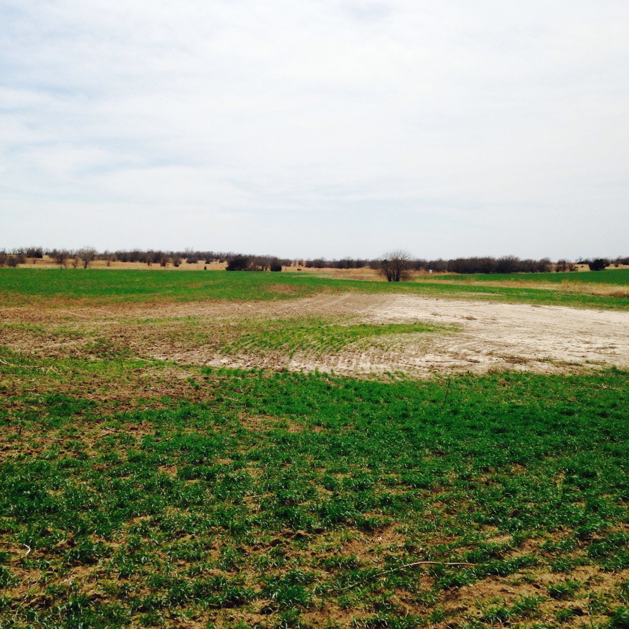 N.D. has thousands of acres of salt-damaged land from years of oil operations. We are demanding that the State assess the damages and begin remediation.