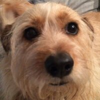 Rob Chapman (@typefivetwenty) 's Twitter Profile