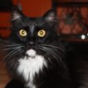 Pam Palmer - @pamrpalm - Twitter