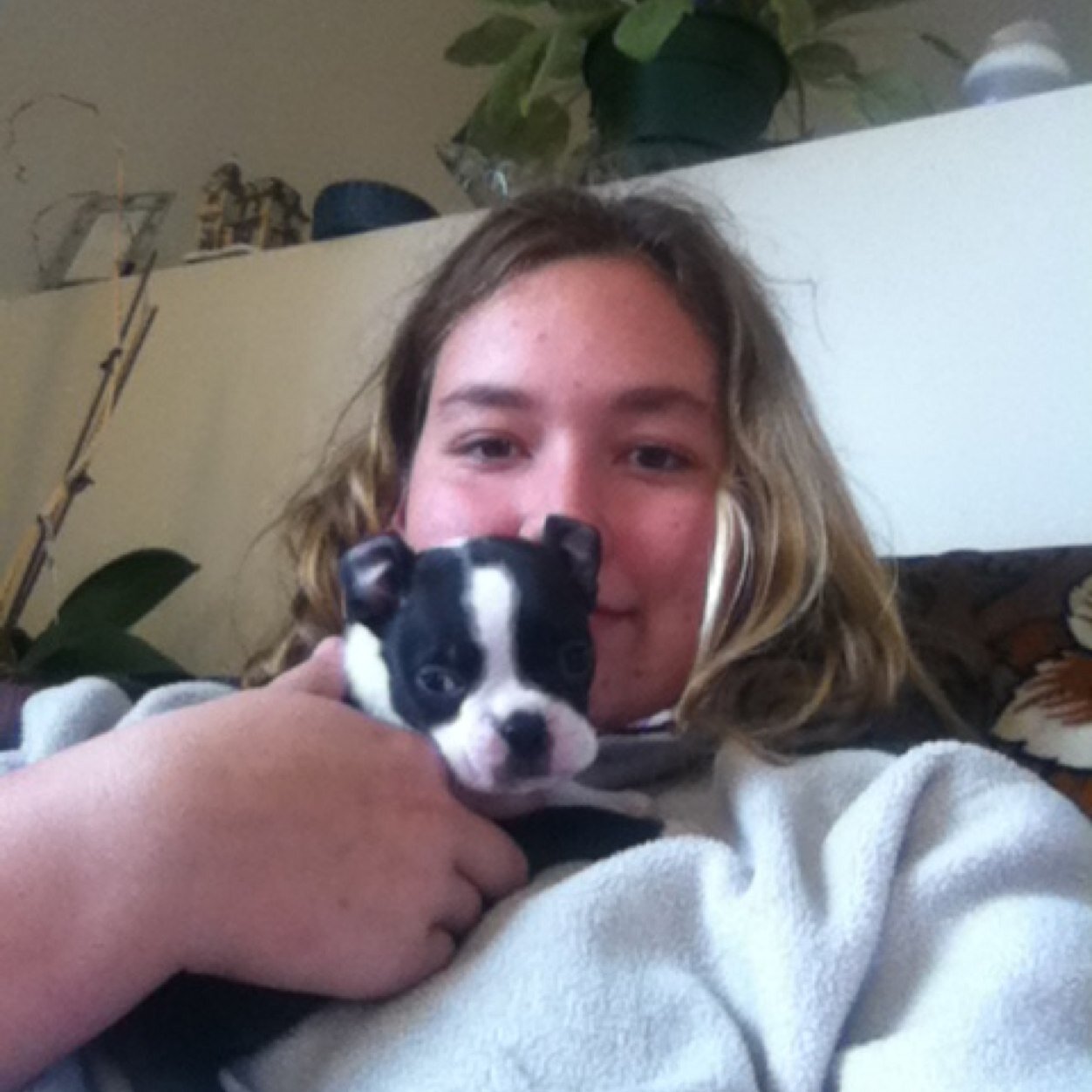 tiffanydesilet1's profile picture. 