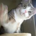 Bob Rowan - @rowanb73 - Twitter