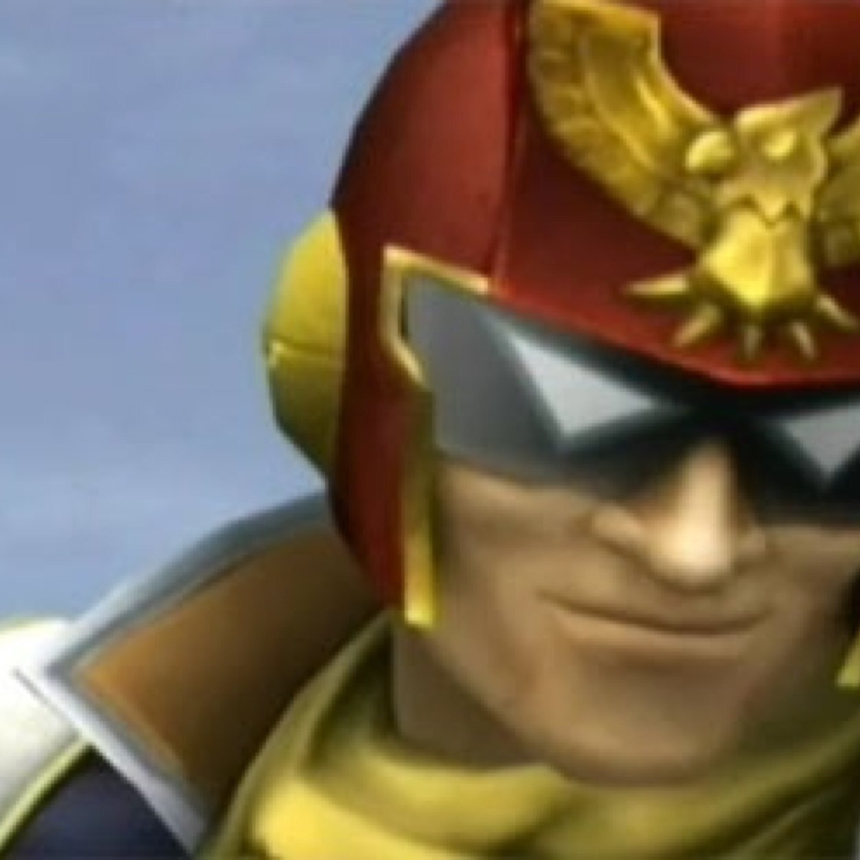 Captain Falcon, pilot of the Blue Falcon, and F-Zero racer 07. I also do bounty work on the side.