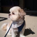 Gary Seale - @gseale99 - Twitter