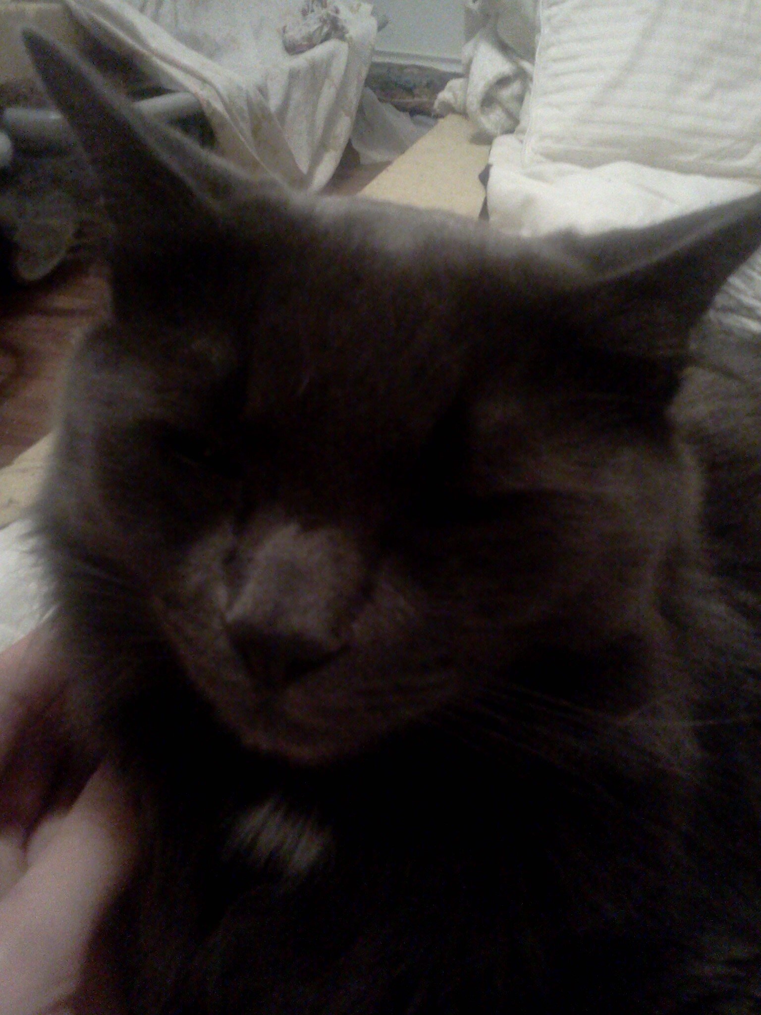 jacquieklepl's profile picture. 