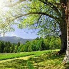 Mounira12523414's profile picture. 