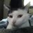 IreneCarmichae1's avatar