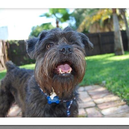 An in-home concierge service for you and your pets.
