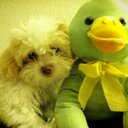 Elissa Brooks - @embrools47 - Twitter