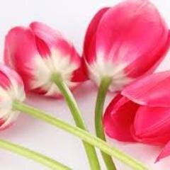 ReganHuds0n's profile picture. Coffee guru  sometimes , passion - nfuriatingly humble pop culture geek .