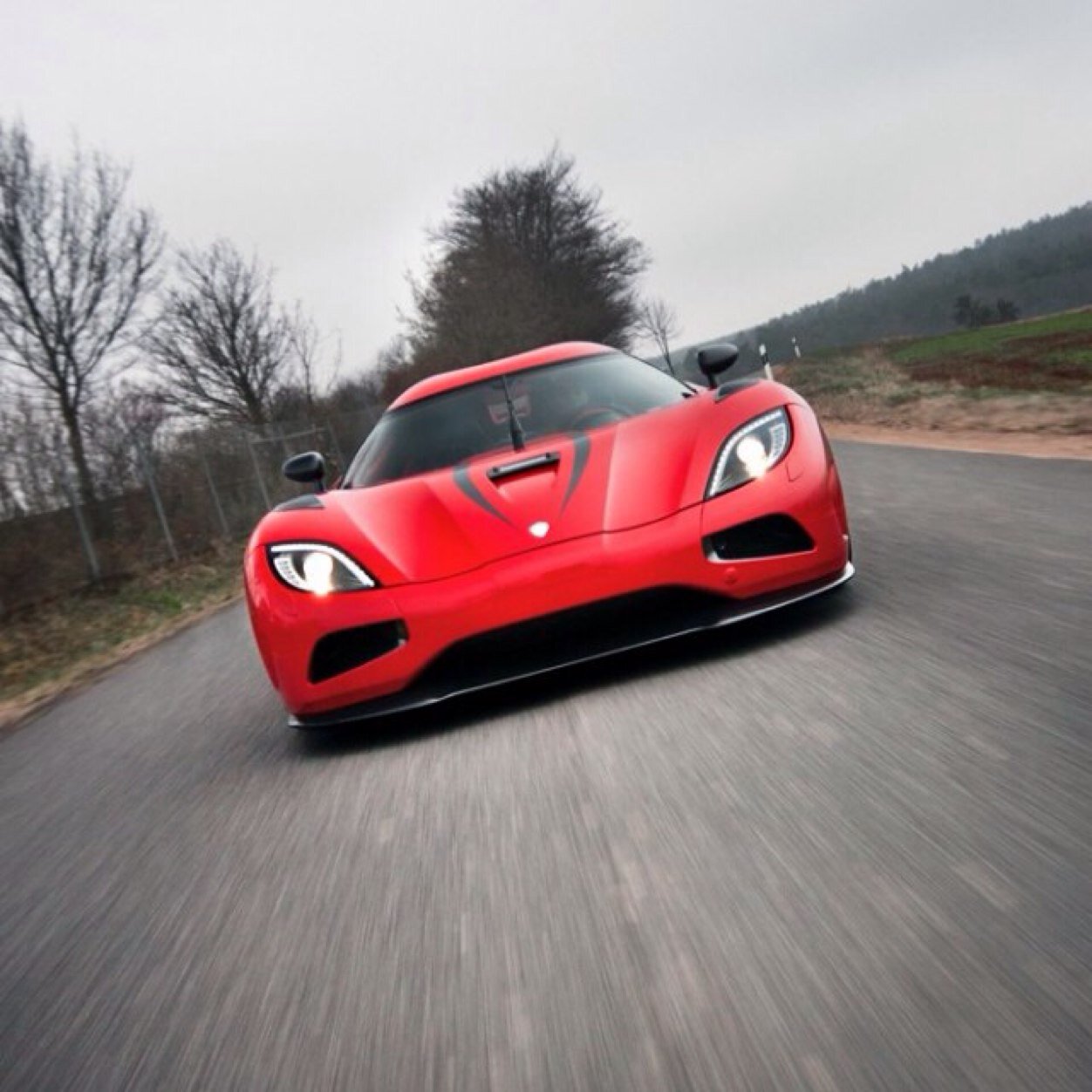 Fat_creep's profile picture. Wolf of clans