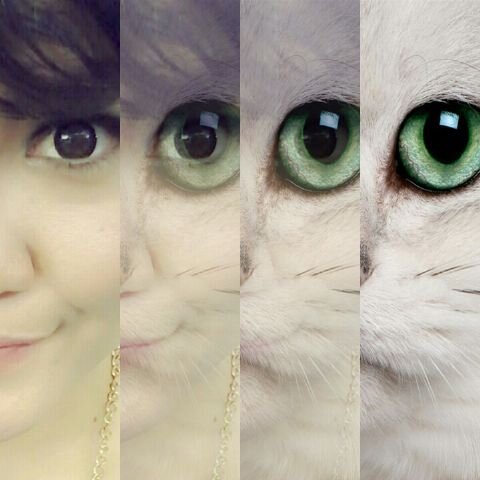 ♥GAFY