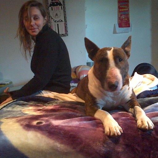 Belencorsico's profile picture. «Aquí los sueños no se cumplen, se ganan»