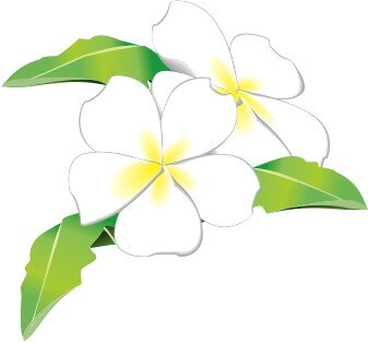 合唱とか古楽とかの周辺をうろうろしている
around50っていうかもう50も半ばですよ
音楽以外もつぶやく
ドラマ実況・「古楽の楽しみ」実況は別アカウントに(ほぼ)引っ越しました