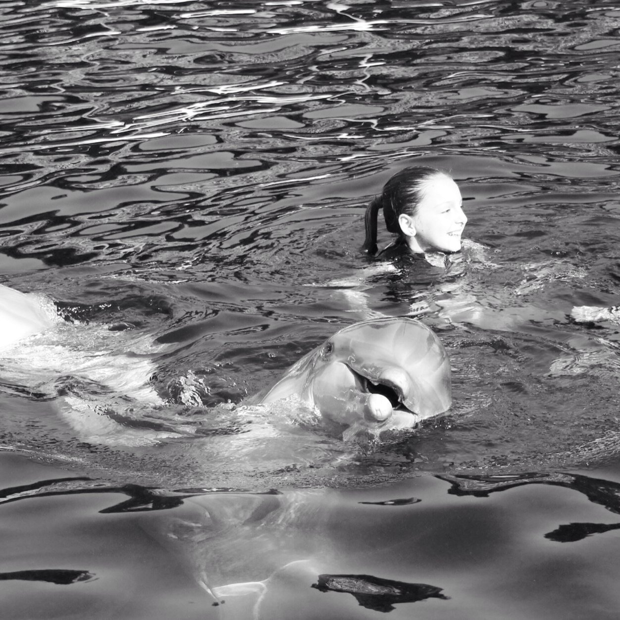 ButlerButlers21's profile picture. 