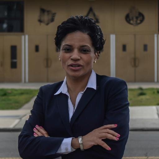 New York State Senate Run